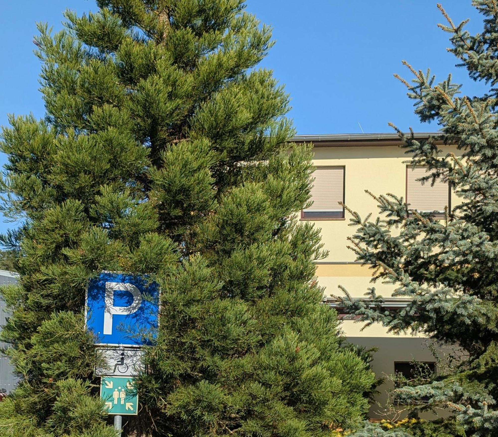 Pension Zum Reiterhof, Fewo 2 Schmogrow Dış mekan fotoğraf