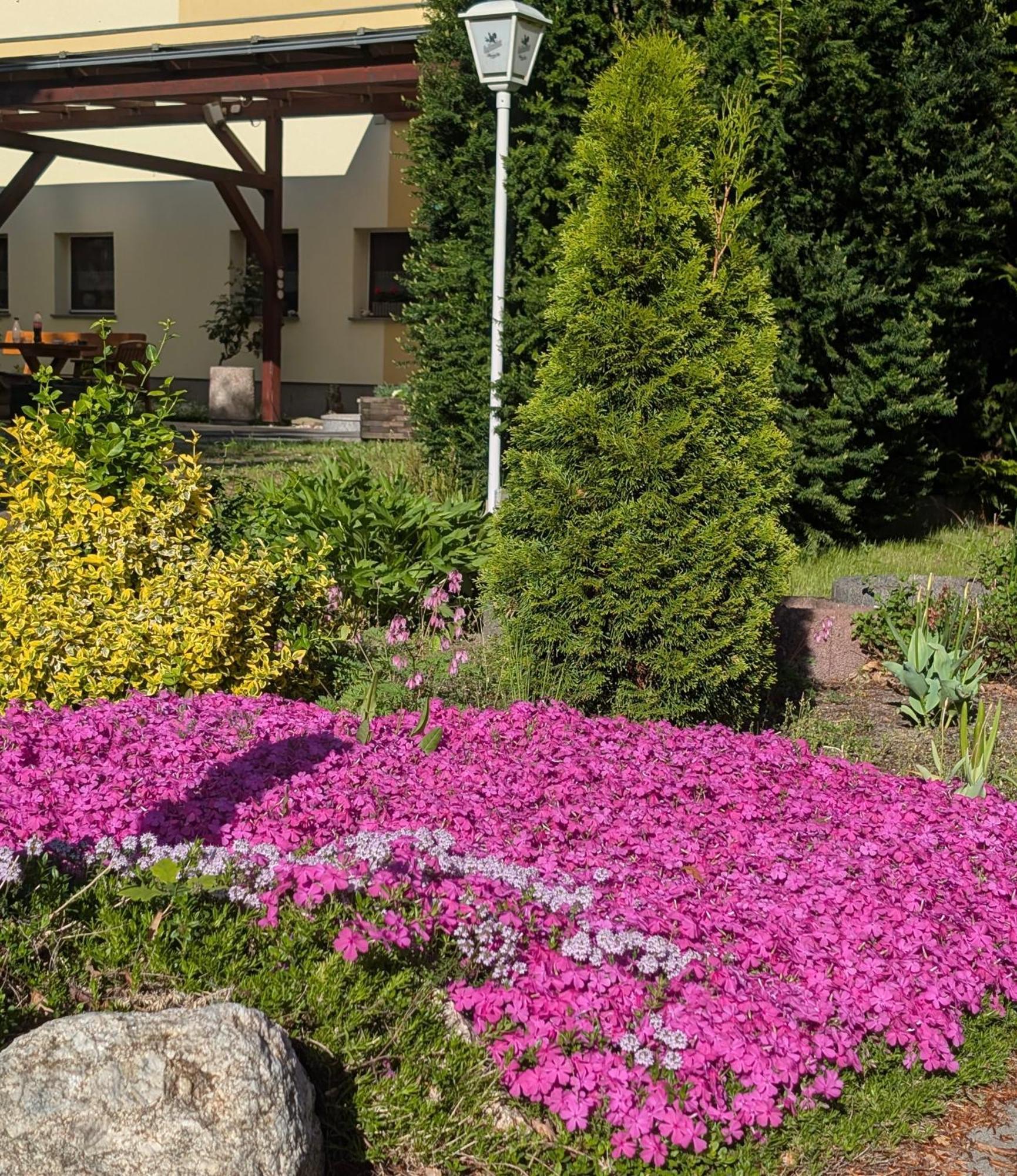 Pension Zum Reiterhof, Fewo 2 Schmogrow Dış mekan fotoğraf