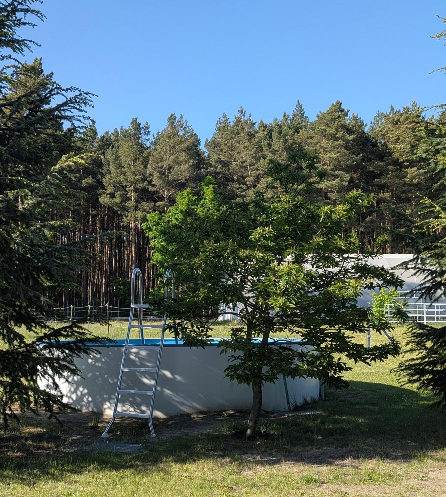 Pension Zum Reiterhof, Fewo 2 Schmogrow Dış mekan fotoğraf